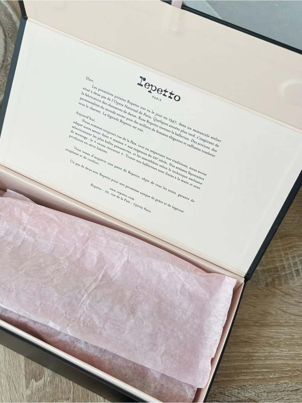 Repetto Pointed Ballet Flats EU 39 US8 Light Pink/Tan Mesh Sides w/ Box dust bag